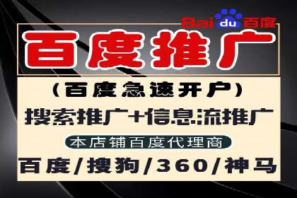 某SEM外包公司广告投放策略及效果评估